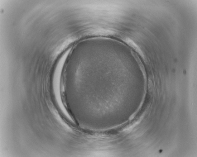 X0000088230581200706051350