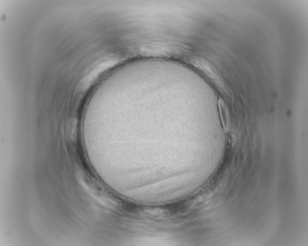 X0000088230583200706051350