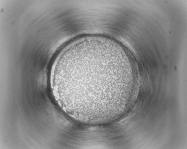 X0000088230584200706051350