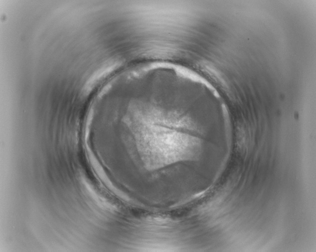 X0000088230586200706051350