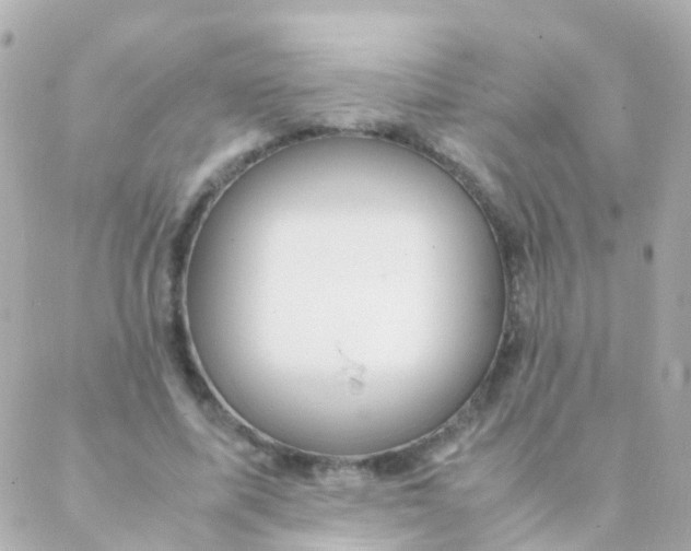 X0000088230587200706051350