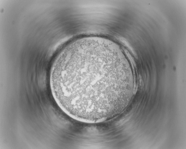 X0000088230588200706051350