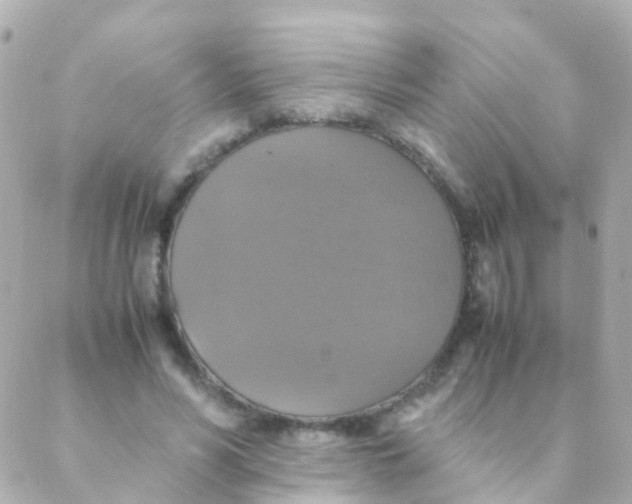 X0000088230590200706051350