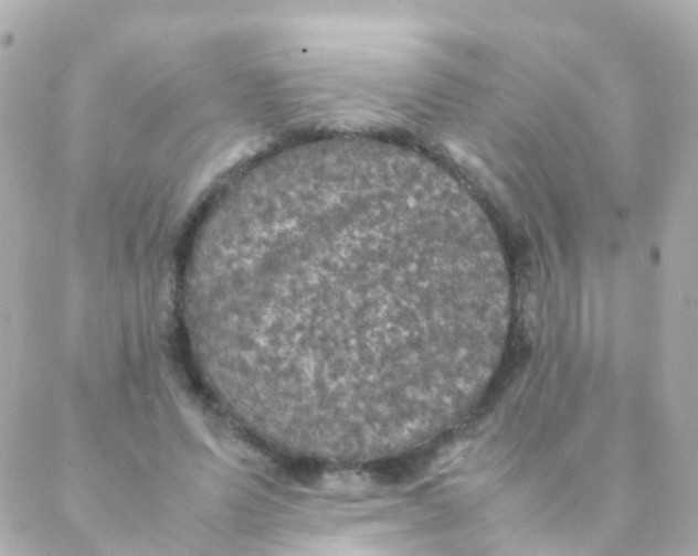 X0000088230591200706051350