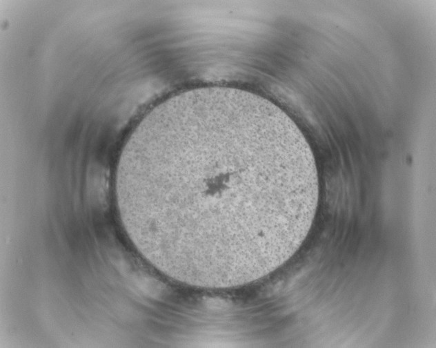 X0000088230592200706051350