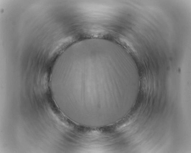 X0000088230594200706051350