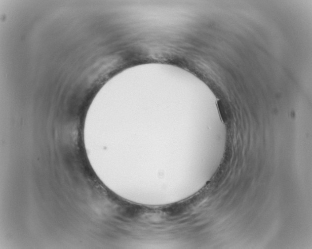 X0000088230595200706051350