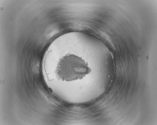 X0000088230596200706051350