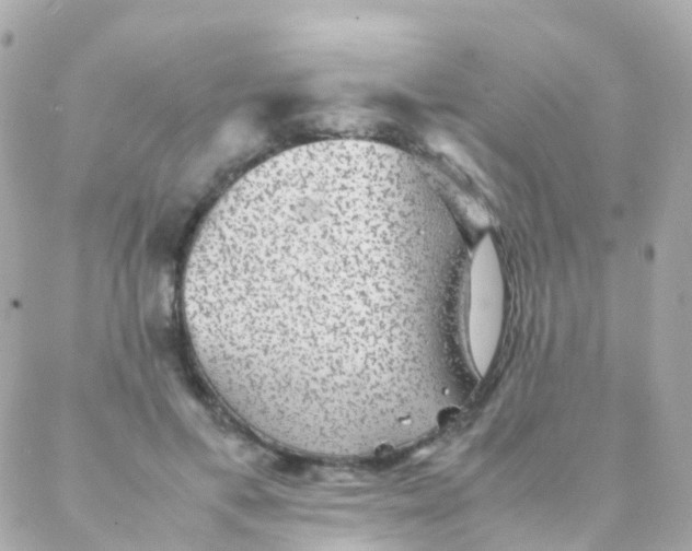 X0000088230597200706051350