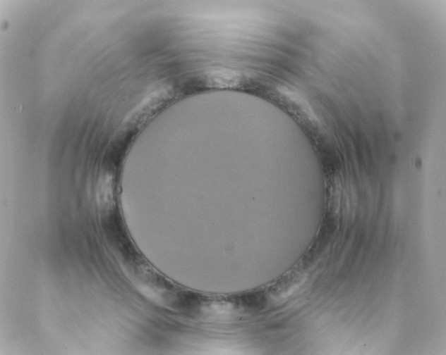 X0000088230598200706051350