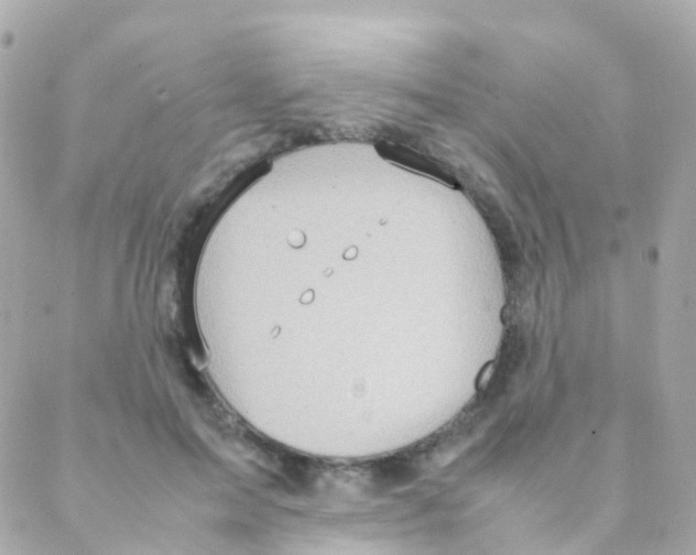 X0000088230599200706051350