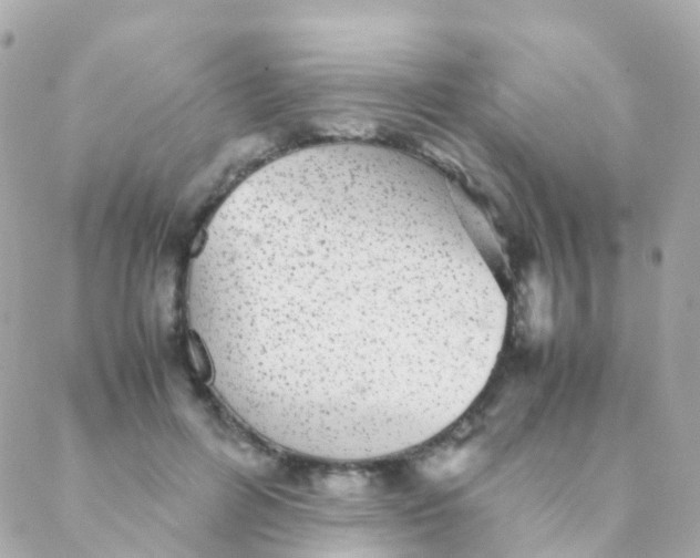 X0000088230600200706051350