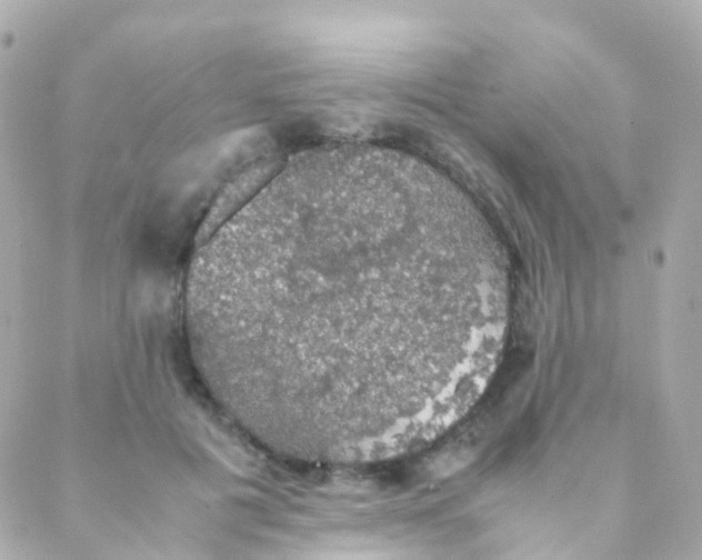 X0000088230601200706051350