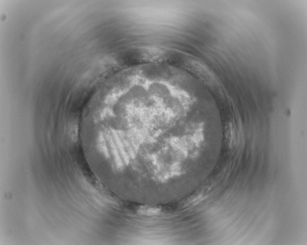 X0000088230602200706051350