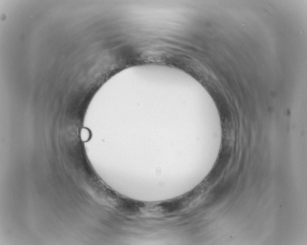 X0000088230603200706051350