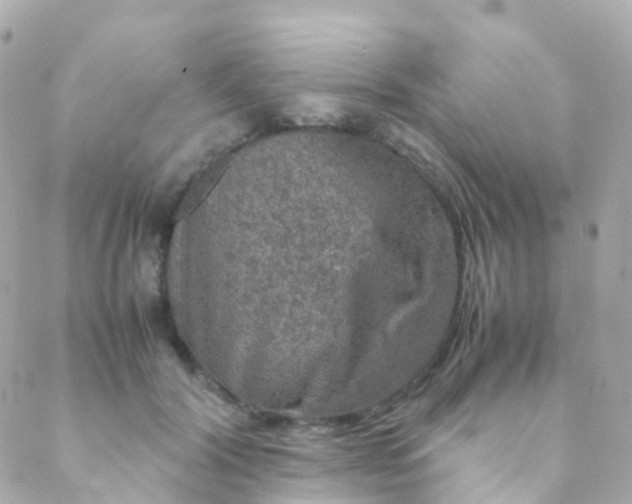 X0000088230604200706051350