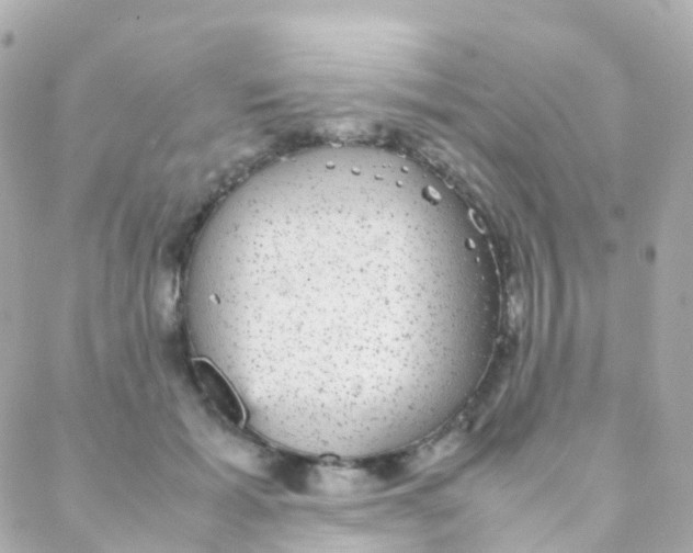 X0000088230605200706051350