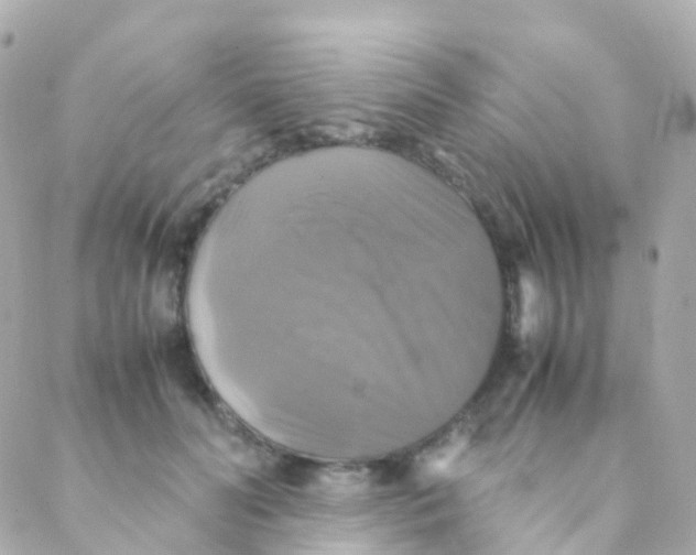 X0000088230606200706051349