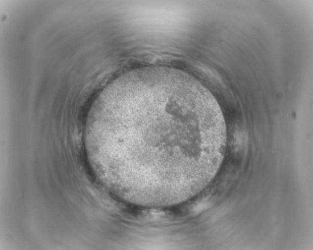 X0000088230607200706051349