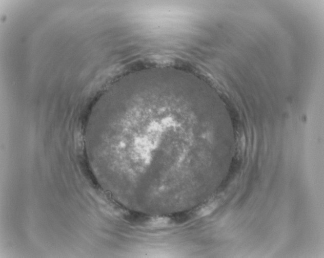 X0000088230609200706051349