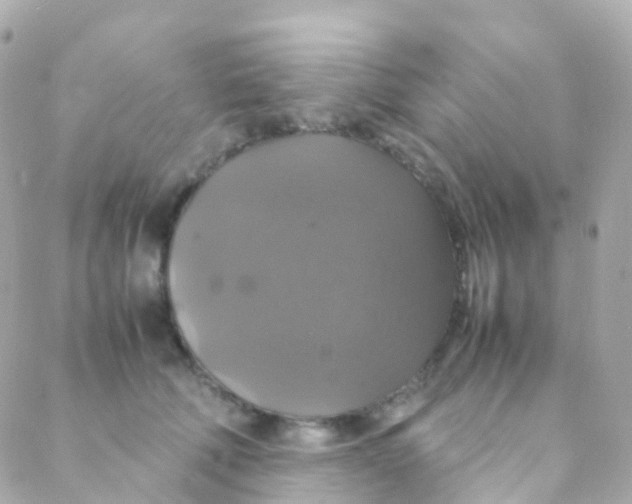 X0000088230610200706051349