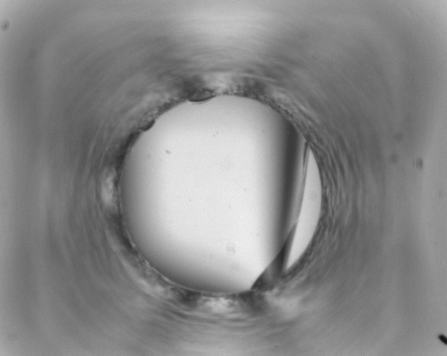 X0000088230611200706051349