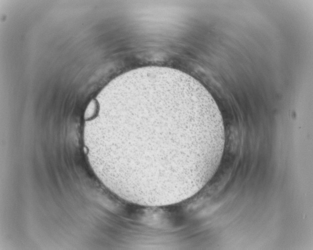 X0000088230612200706051349