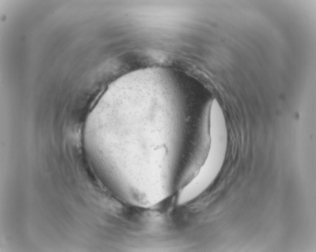 X0000088230613200706051349