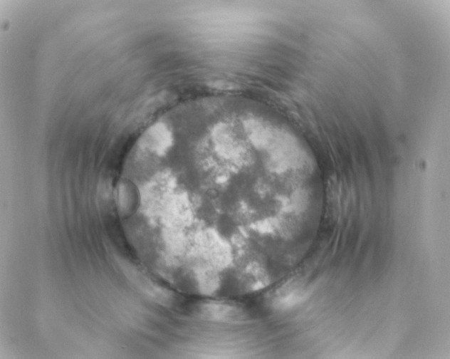 X0000088230614200706051349