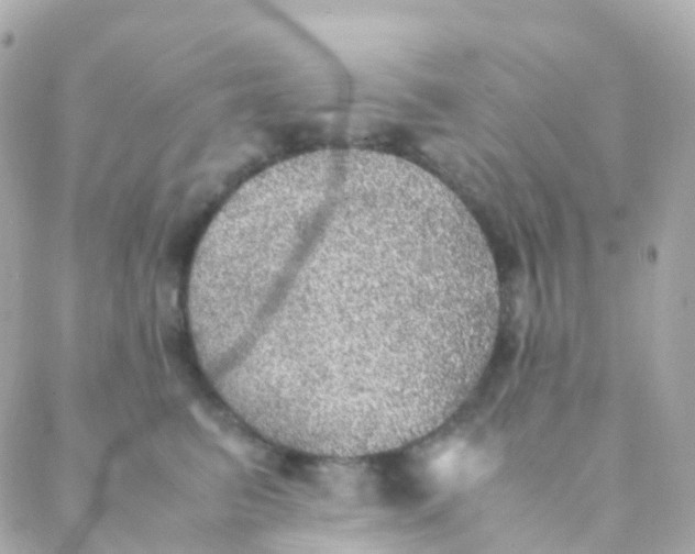 X0000088230615200706051349