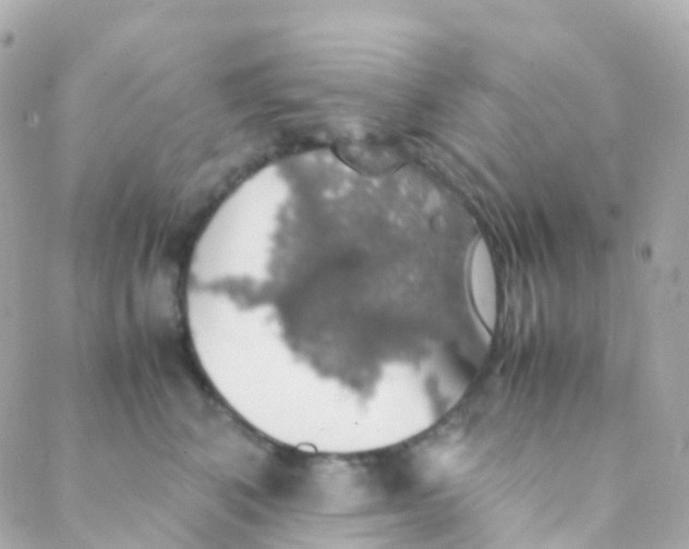 X0000088230616200706051349