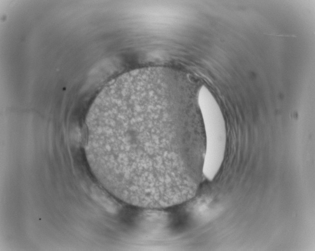 X0000088230617200706051349