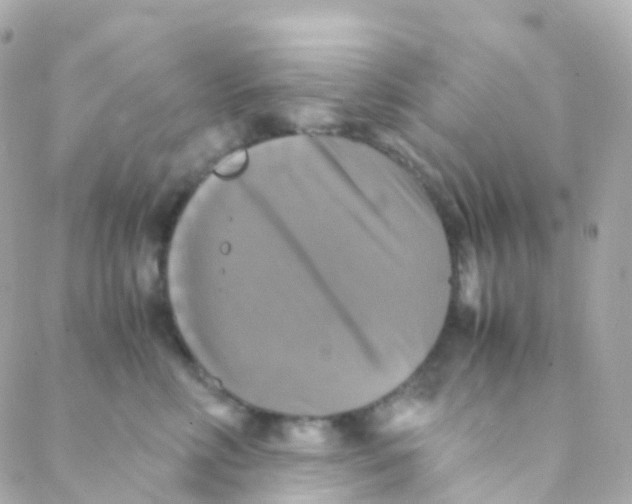 X0000088230618200706051349