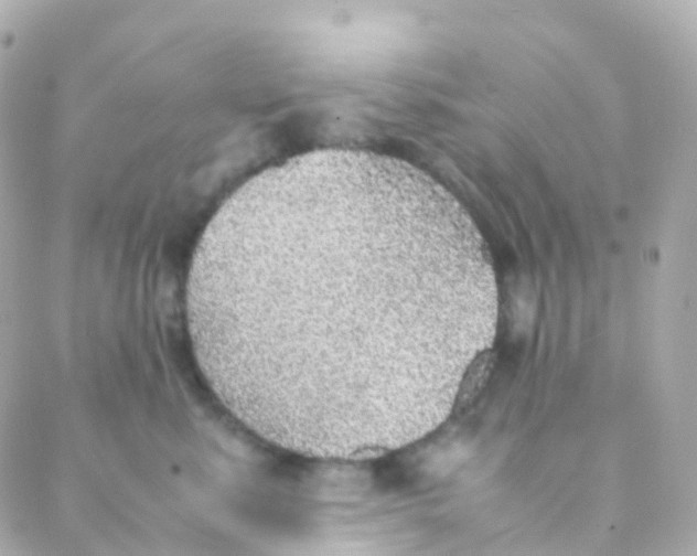 X0000088230619200706051349