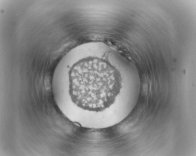 X0000088230620200706051349