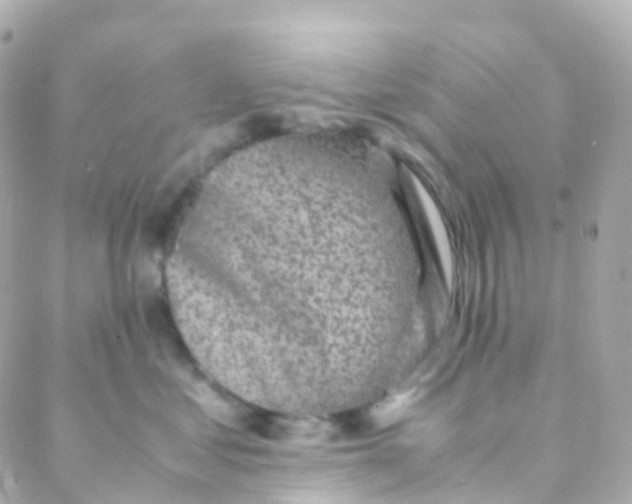 X0000088230621200706051349