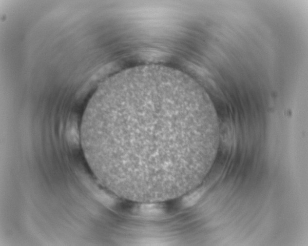 X0000088230622200706051349