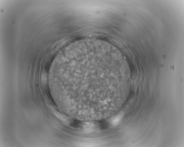 X0000088230623200706051349