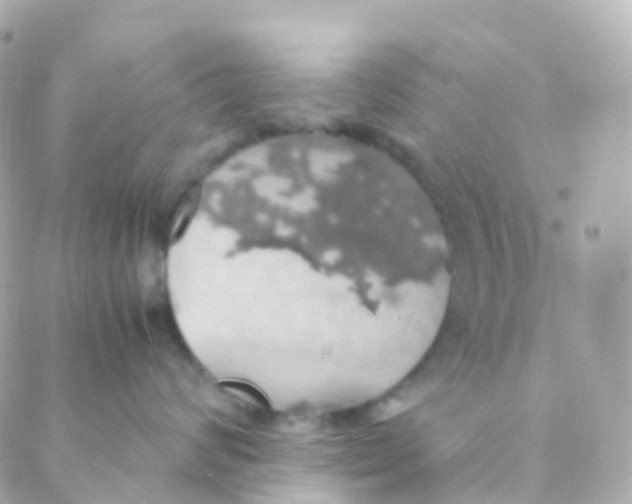 X0000088230624200706051349