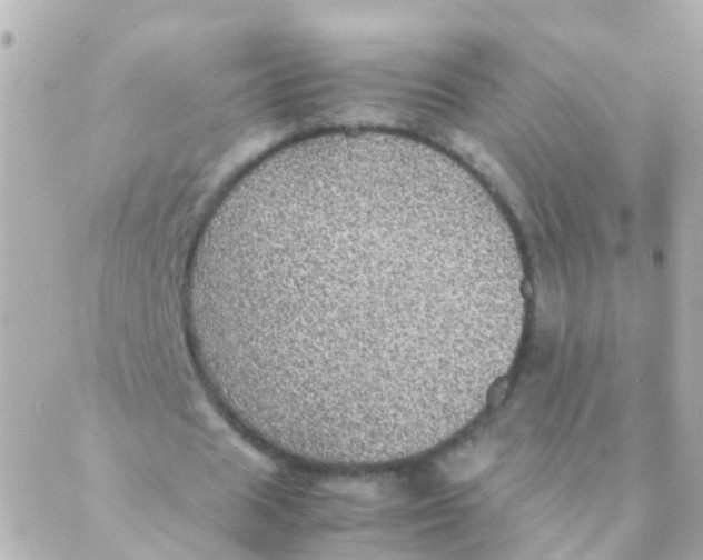 X0000088230625200706051348