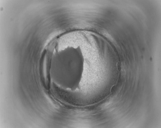 X0000088230626200706051348