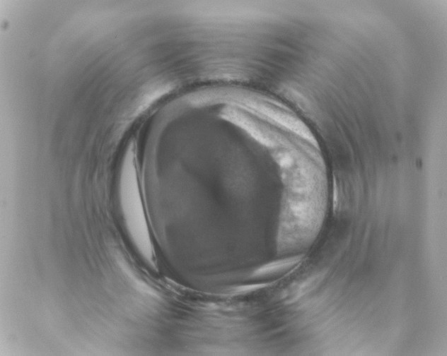 X0000088230627200706051348