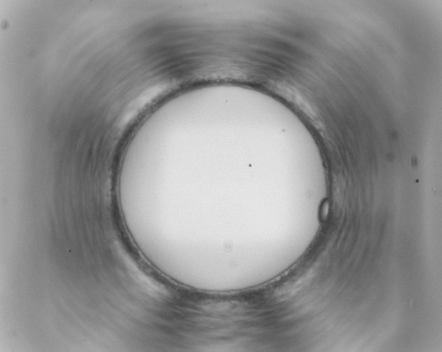 X0000088230629200706051348