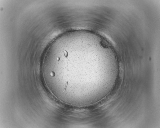 X0000088230631200706051348