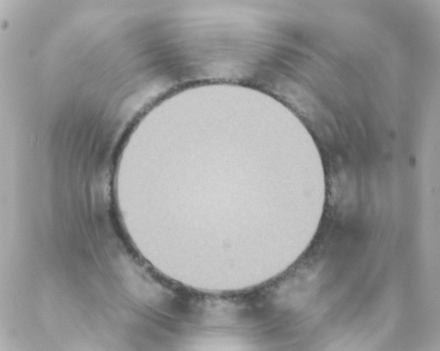 X0000088230632200706051348