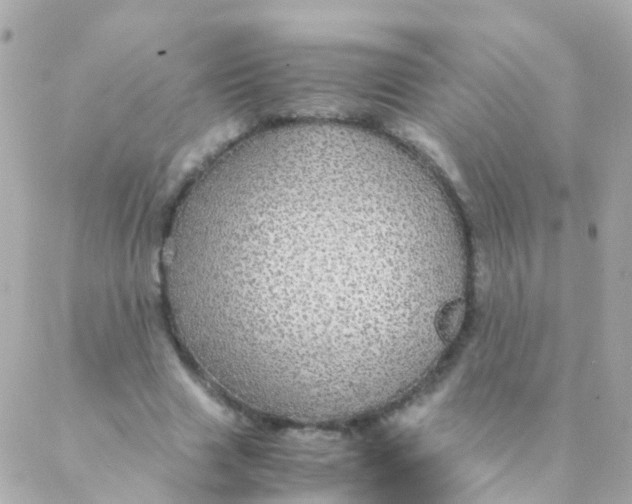 X0000088230633200706051348