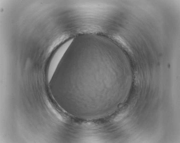 X0000088230634200706051348