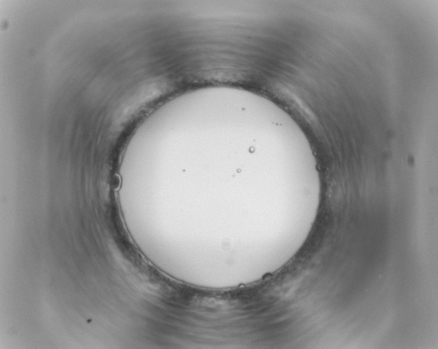 X0000088230635200706051348