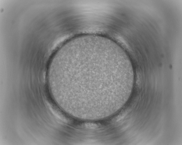 X0000088230636200706051348