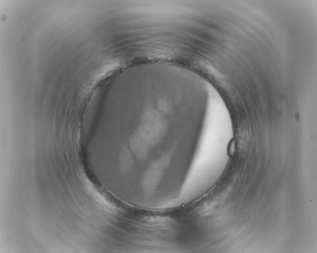 X0000088230637200706051348